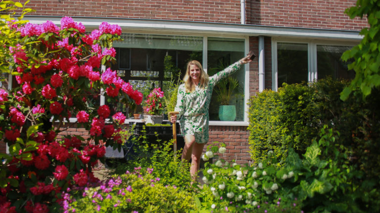 Buurtvereniging Rembrandtkwartier houdt vergroeningsactie ‘Stenen eruit, groen erin’