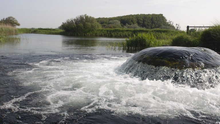 Publiek op Hemelvaartsdag nog niet welkom in PWN Duinreservaat