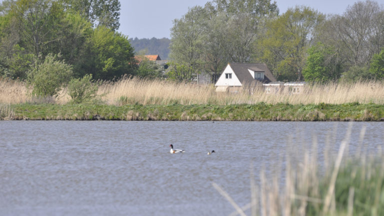 Fotowedstrijd in teken van 40-jarig bestaan Geestmerambacht