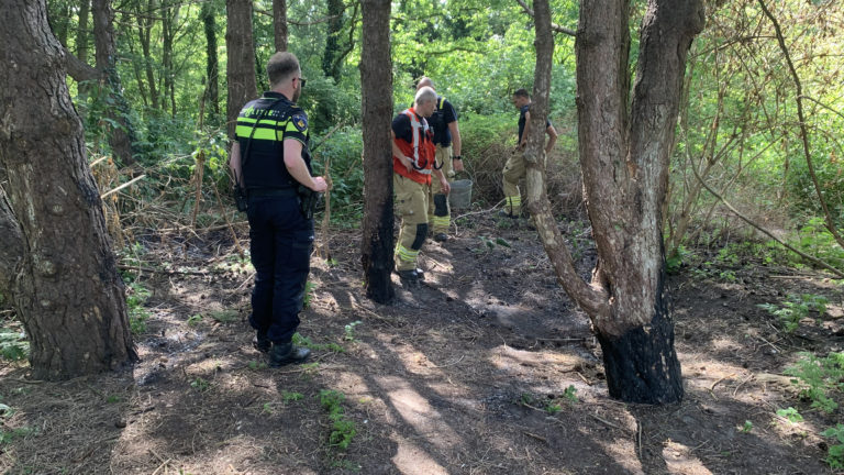 Brandstichting in Natuurpark Egmonderhout: “Wel vaker overlast op die plek”