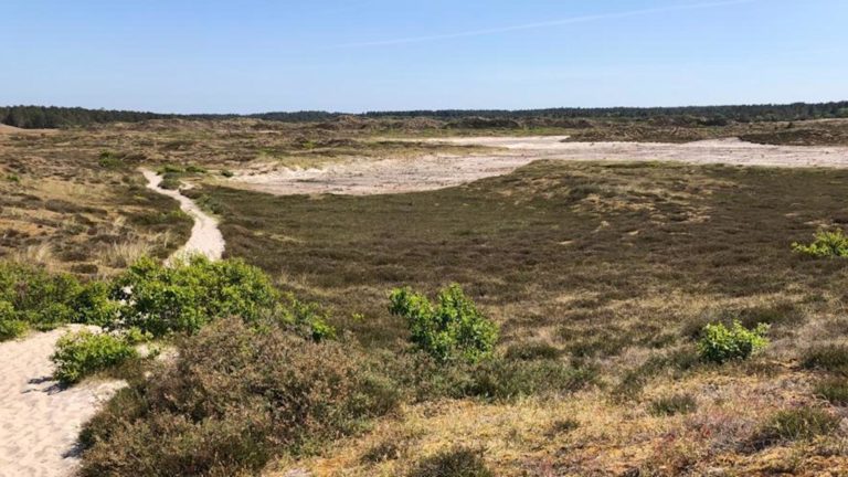 KNMI en provincie oneens over superdroogte in 2050 bij Schoorl