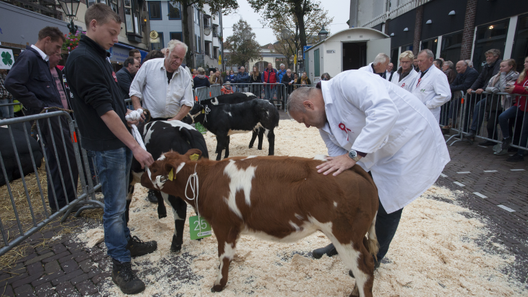 Ook Landbouwdag Alkmaar gaat dit jaar niet door