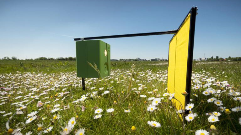 Insectentelling met slimme camera’s bij waterzuiveringen en in PWN-duingebied