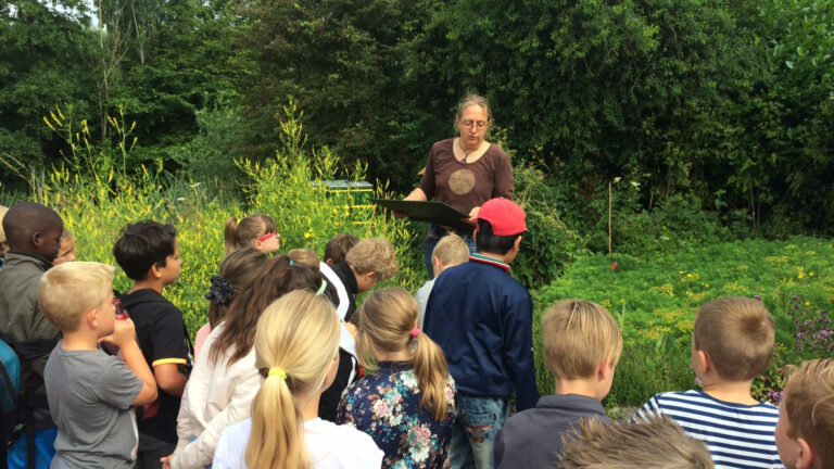 Kinderworkshops in de Hortus: alles wat ze weten willen over de bij 🗓