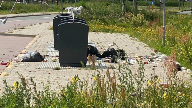 BAS: “Vroonermeer Noord ziet er soms verwaarloosd en verloederd uit”
