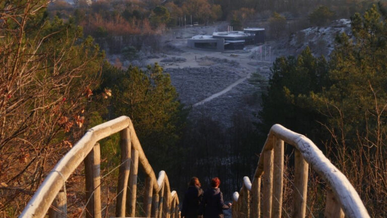 Kom tot rust tijdens stiltewandelingen door de Schoorlse Duinen 🗓