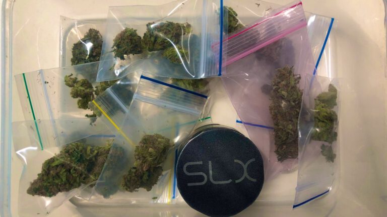 Mogelijke drugsdealer aangehouden in Egmond aan den Hoef