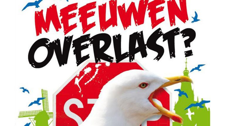 OPA zet meeuwen weer op de politieke agenda van Alkmaar