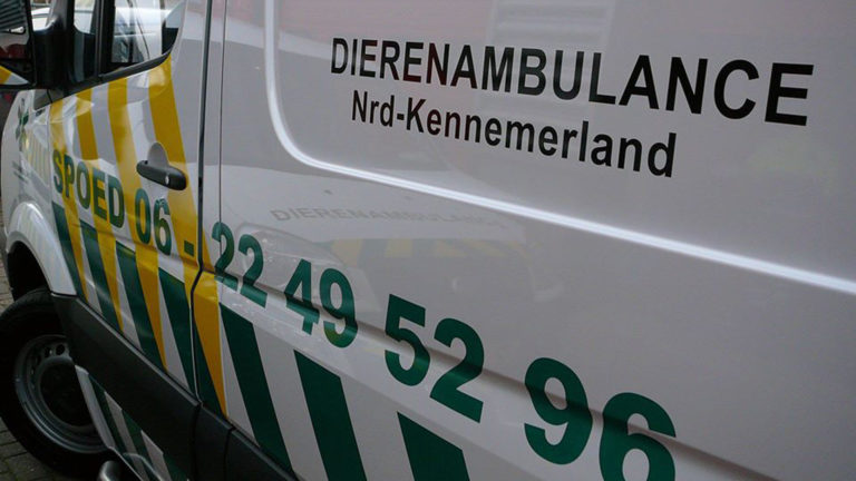 Dode dieren in kelderbox wooncomplex De Kooimeer: “Eigenaar zorgt al enige tijd voor overlast”