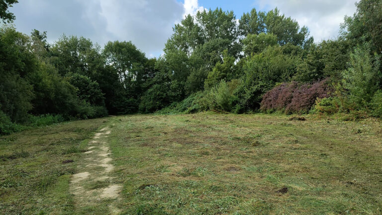 Gemeente Heerhugowaard snoeit bloemenpracht; belangrijk voor behoud