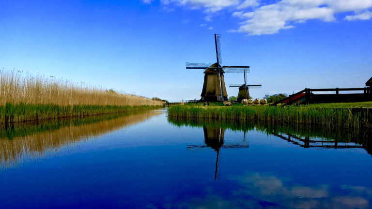 Schermer molens draaien volop op de Schermer Maaldag op 6 september 🗓