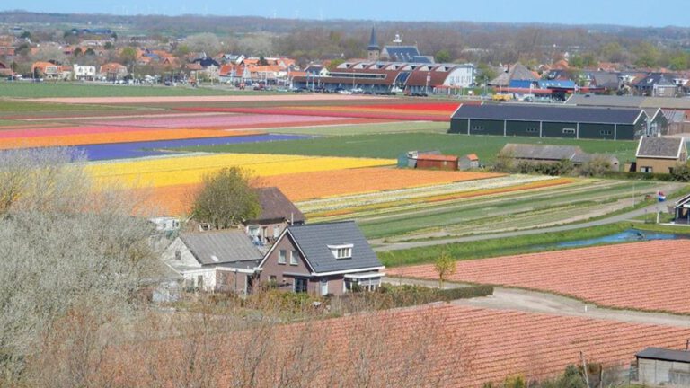 Reparaties bestemmingsplan fusielocatie Egmondse voetbalclubs 22 september in Hotel Zuiderduin
