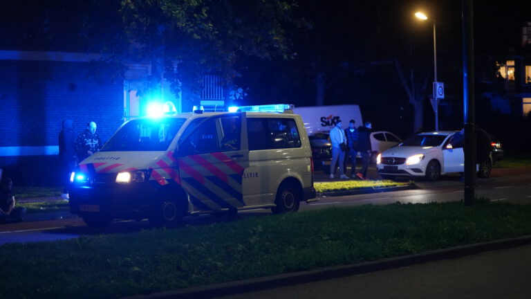 Hond ernstig gewond na aanrijding op Koelmalaan