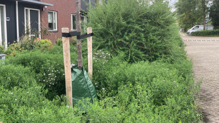 Gemeenten Langedijk en Heerhugowaard doen proef met 33 Treegators