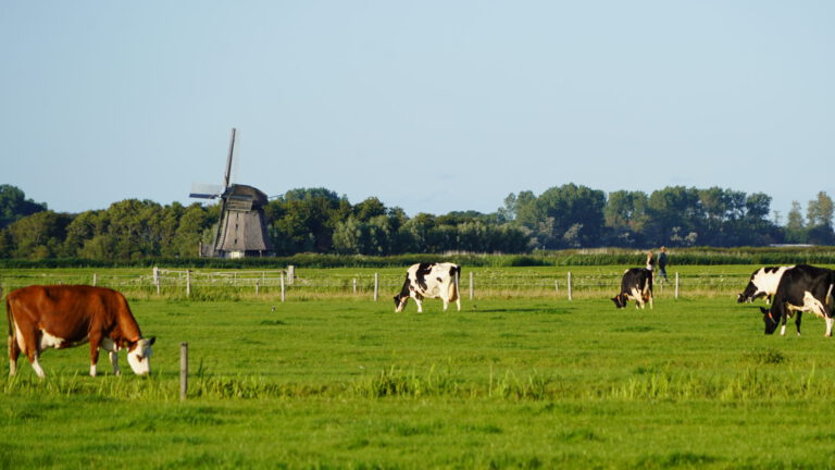 Weidse Polders en Groene Oase in provinciaal programma voor natuurontwikkeling