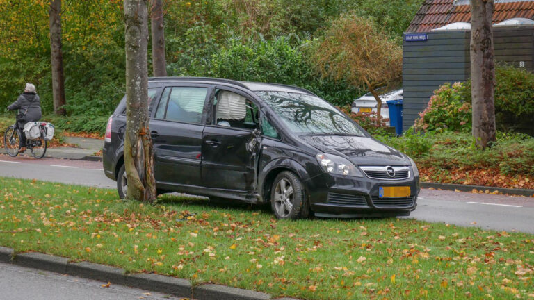 Automobilist klapt na knik in Laan van Parijs tegen boom op middenberm