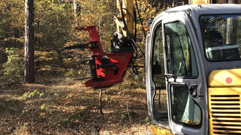 Maandag start bomenkap in Dr. Van Steijnbos in Schoorlse Duinen
