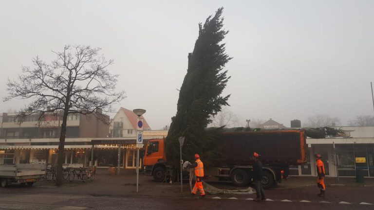 Kerstboom op Plein Bergen gratis thuisbezorgd
