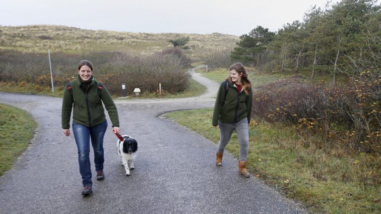 Boswachters zoeken ‘leukste hond’ voor campagne over aanlijnplicht