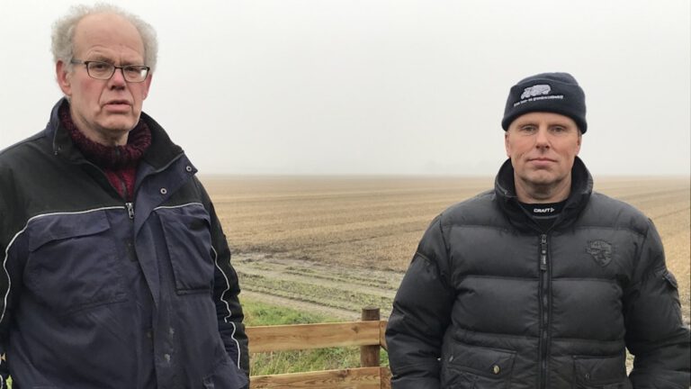 Egmondse bollentelers mopperen erop los na idee voor zonneweides op hun bollengrond