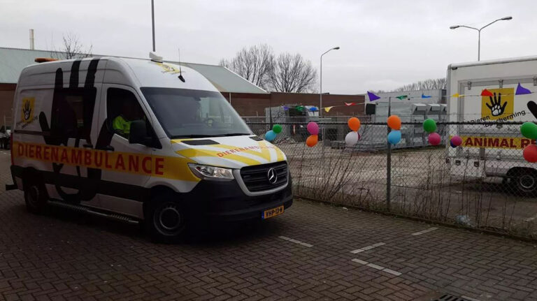 DANK krijgt twee gloednieuwe dierenambulances: “Met alles erop en eraan!”