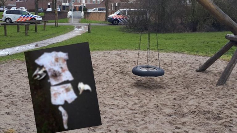 Weer lugubere vondst in Alkmaars park, deze keer twee onthoofde duiven