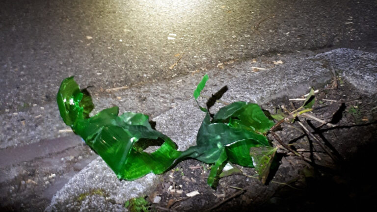 Alkmaarse politie heeft drukke nacht met zedenzaak, huiselijk geweld en baldadige jeugd