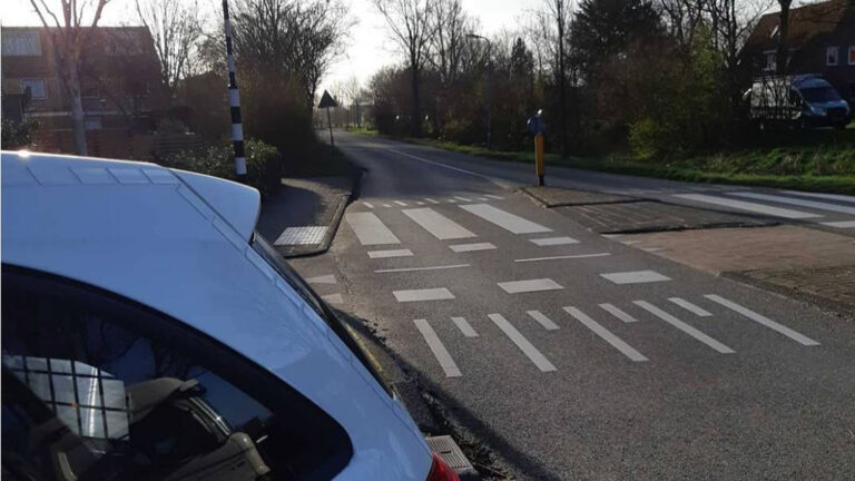 Onaangelijnde hond schiet voor auto’s langs in Bergen, “hoort erbij” volgens baasje