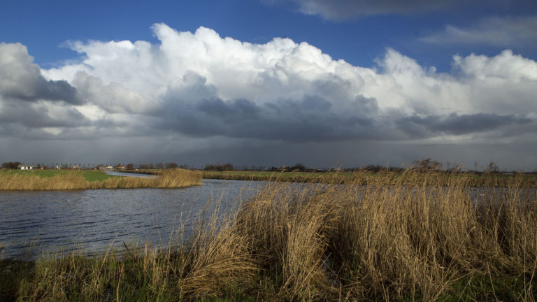 Provincie koopt melkboer in Starnmeer uit voor dijkverzwaring en mogelijk nieuwbouw
