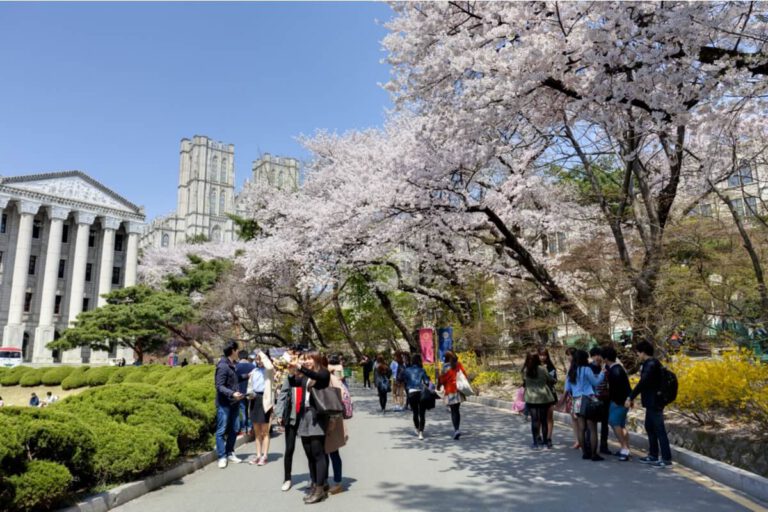 Jan Arentsz Alkmaar organiseert op 23 april ‘Studeer in Korea Onderwijsfestival’