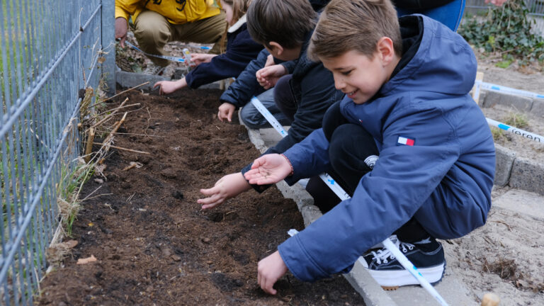 Alkmaarse schoolkinderen massaal naar buiten om bloemzaadjes voor bijen te planten