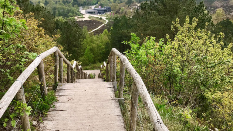 Hulp publiek nodig voor vervanging trap naar hoogste duin in Schoorlse Duinen