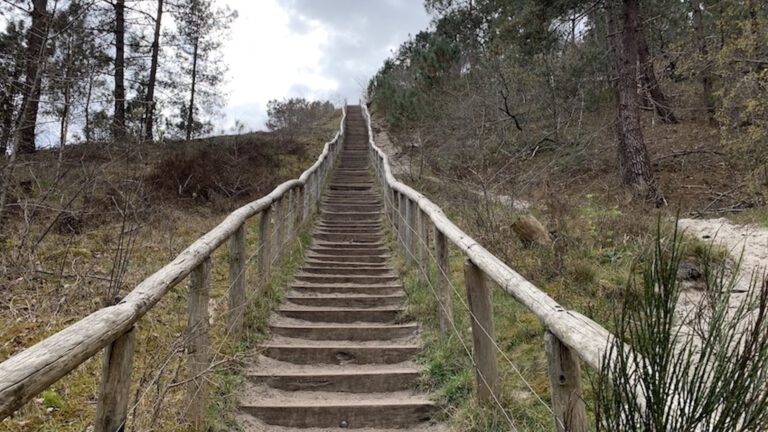 Meer dan 30.000 euro opgehaald voor nieuwe trap in Schoorlse Duinen, maar ook veel kritiek