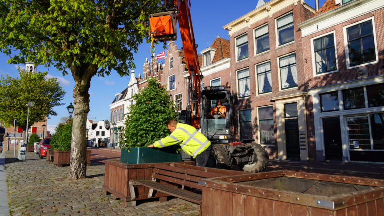 Bloembakken en bankjes terug op Limmerhoek en Bierkade en gevuld met bloeiende planten