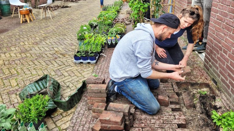 Vliegende start voor Alkmaarse campagne ‘250 geveltuinen’