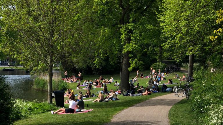 Hele zomer 24-uurs alcoholverbod in Singelpark: “Serieus? Je mag niks meer”