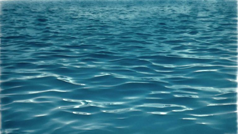 Water in de regio steeds schoner: zicht in meer van Geestmerambacht sinds 1980 zelfs verdubbeld