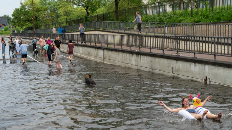 Crisisoverleg bij waterschap: “Van het ene naar het andere uiterste gegaan”