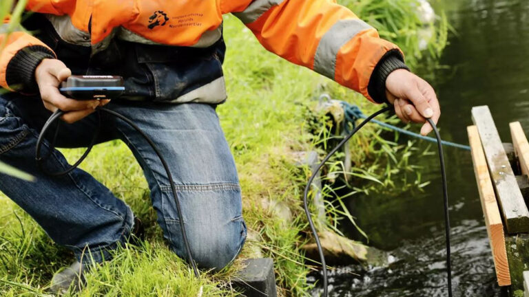 Alkmaarse vissen krijgen langzamer dan verwacht meer zuurstof