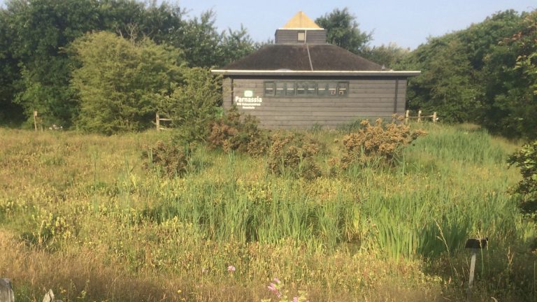 Eerste natuurwandeling door Heemtuin Parnassia in Bergen aan Zee 🗓