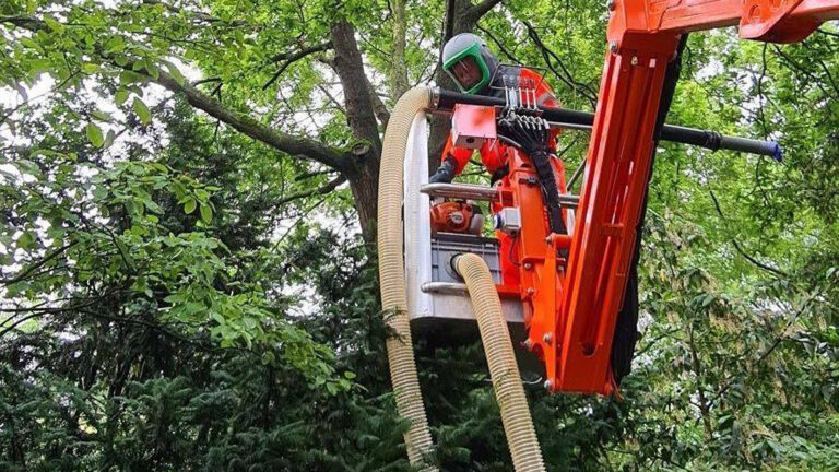 Gemeente Heerhugowaard gaat de strijd aan met de eikenprocessierups
