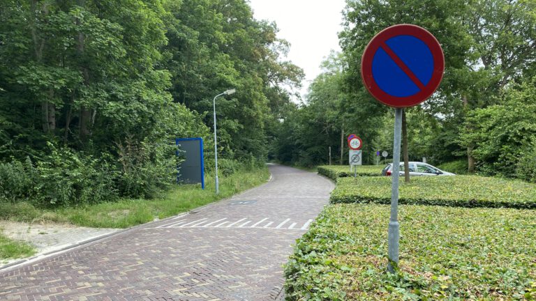 Groen langs Duinweg Bergen wijkt voor 62 parkeerplaatsen voor Noordhollands Duinreservaat