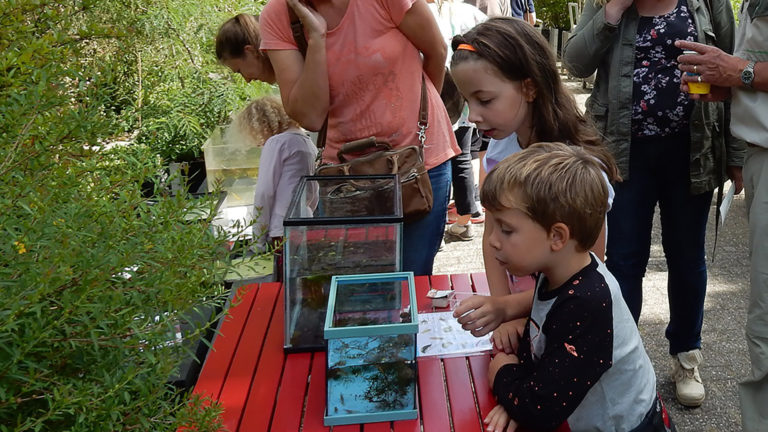 Zondag 8 augustus weer Beestjesdag bij Hortus Alkmaar 🗓