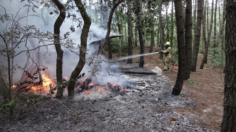 Kleine duinbrand vlug gedoofd door snel ingrijpen brandweer