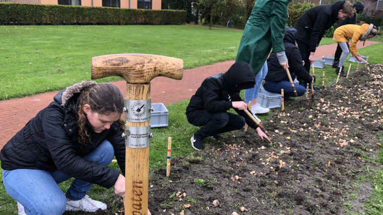 Tweede GroenSpoor plantestafette op 26 oktober in Heerhugowaard 🗓