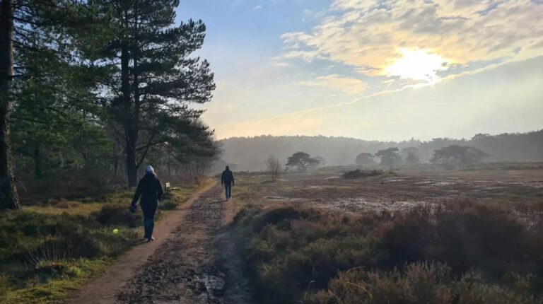 #zanderover: Talpa biedt excuses aan voor buiten de paden treden Schoorlse duinen