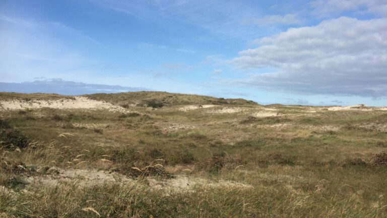 Mee met gids Hans Stapel voor een duinwandeling vanaf Heemtuin Parnassia 🗓