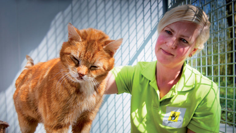 Dierenbescherming en Dierenzorg Zaanstreek allebei aan de slag in Noord-Holland Noord