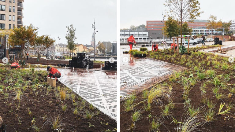 Groen completeert herinrichting Noorderkade: “Prachtige transformatie”
