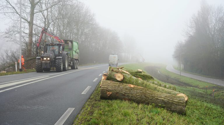 Start van verwijdering zieke en oude populieren langs N244 in Zuidschermer